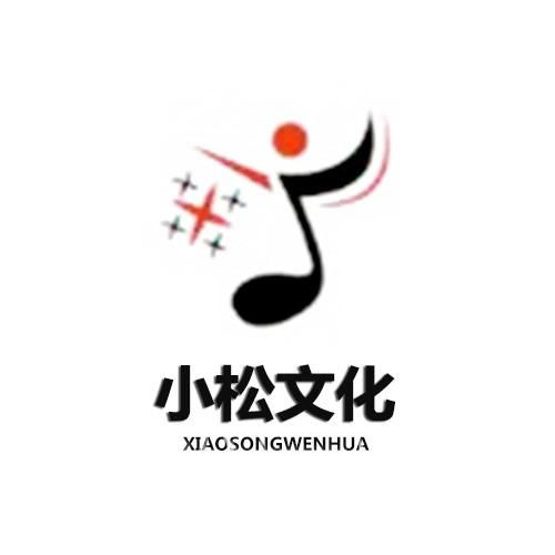 河南小松文化傳媒